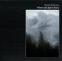 Chris Eckman (Walkabouts): Where The Spirit Rests (180g), LP