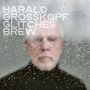 "Harald Grosskopf Glitches Brew" steht in großen, weißen Buchstaben. Dahinter unscharf ein Mann, sichtbar durch nasses Glas., CD