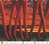 Irmin Schmidt: Musk At Dusk, CD, CD