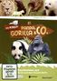 Panda, Gorilla & Co. Vol. 6 (Folgen 53-56), DVD