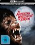 4K ULTRA HD + BLU-RAY, 45TH ANNIVERSARY LIMITED EDITION STEELBOOK. Ein Werwolf heult vor einem Vollmond. FSK 16., 1 Blu-ray Disc und 1 Ultra HD Blu-ray