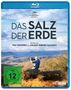 Wim Wenders: Das Salz der Erde (Blu-ray), BR