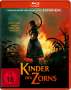 Kurt Wimmer: Kinder des Zorns (2023) (Blu-ray), BR