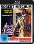 Sheldon Reynolds: Die fünfte Kolonne (Blu-ray), BR