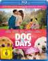 Ken Marino: Dog Days (Blu-ray), BR
