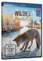 Wildes Venedig (Blu-ray), Blu-ray Disc