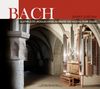 Johann Sebastian Bach: Orgelwerke, CD