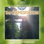 Texte: TEMPLE SOCIETY, TAI CHI MEDITATION, Music for Inner Concentration. Torii vor Bäumen im Sonnenlicht., CD