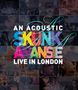 Skunk Anansie: An Acoustic Skunk Anansie: Live In London 2013, BR