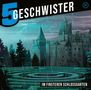 Tobias Schuffenhauer: Im finsteren Schlossgarten, CD