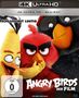 Fergal Reilly: Angry Birds - Der Film (Ultra HD Blu-ray & Blu-ray), UHD,BR