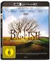 Tim Burton: Big Fish (Ultra HD Blu-ray), UHD