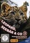 Leopard, Seebär & Co. - Das Beste aus Hagenbecks Tierpark 2, 4 DVDs