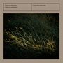 Camerata Figarella, Cantà in cumpagnia, Carpe Diem Records. Dunkles Gras beleuchtet von sanftem Licht., CD