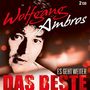 Wolfgang Ambros: Es geht weiter: Das Beste, CD,CD