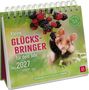 Julian Rad: Postkartenkalender 2027: Kleine Glücksbringer für dein Jahr, KAL