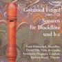 Gottfried Finger (1655-1730): Sonaten für Blockflöte & Bc, CD