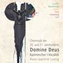 Kammerchor I Vocalisti - Domine Deus (Chormusik des 20. & 21.Jahrhunderts), CD