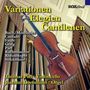 Werke für Cello & Orgel - Variationen,Elegien,Cantilenen, CD