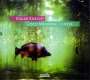 Edgar Knecht: Good Morning Lilofee (180g) (Limited Edition), LP