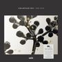 Tom Arthurs: One Year (180g) (Limited-Edition), LP