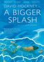 A Bigger Splash (OmU), DVD, DVD