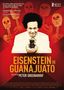 Eisenstein in Guanajuato, DVD