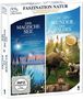 Marko Röhr: Faszination Natur: Der magische See & Wunder des Waldes (Blu-ray), BR,BR