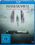 Quarxx: Pandemonium - Die Hölle kennt keine Vergebung (Blu-ray), BR