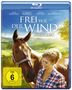 Frei wie der Wind (Blu-ray), Blu-ray Disc