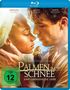 Palmen im Schnee - Eine grenzenlose Liebe (Blu-ray), Blu-ray Disc