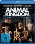 David Michod: Animal Kingdom (Blu-ray), BR