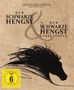 Carroll Ballard: Der schwarze Hengst / Der schwarze Hengst kehrt zurück (Blu-ray), BR,BR