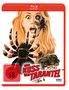 Chris Munger: Der Kuss der Tarantel (Blu-ray), BR