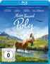 Mein Freund Poly (Blu-ray), Blu-ray Disc