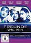 Freunde wie wir, DVD