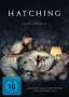 Hatching, DVD