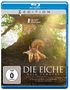 Laurent Charbonnier: Die Eiche - Mein Zuhause (Blu-ray), BR