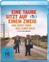 Eine Taube sitzt auf einem Zweig und denkt über das Leben nach (Blu-ray), Blu-ray Disc