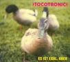 Tocotronic: Es ist egal, aber (Reissue), 2 LPs