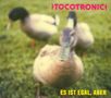 Tocotronic: Es ist egal, aber (+ Live-Tracks), CD