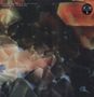 Ulrich Schnauss & Mark Peters: Tomorrow Is Another Day (180g) (LP + CD), LP,CD