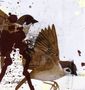 Bring Me The Horizon: This Is What The Edge Of Your Seat Was Made For EP, LP