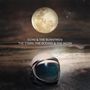 Echo & The Bunnymen: The Stars, The Oceans & The Moon (180g), 2 LPs