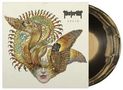 Kvelertak: Splid (Indie Retail Exclusive) (Limited Edition) (LP 1: Black Vinyl / LP 2: Gold Vinyl), CD,LP