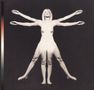 Angels & Airwaves: Lifeforms (Limited Edition) (Magenta, Mint & Black Smush Vinyl), LP