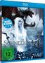 Die Schneekönigin (2013) (3D Blu-ray), Blu-ray Disc
