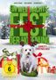Ein Weihnachtsfest der Hoffnung, DVD, DVD
