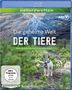 Axel Gebauer: Die geheime Welt der Tiere (Blu-ray), BR