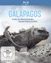 Thomas Behrend: Galapagos: Im Bann der Meeresströmungen / Zwischen Himmel und Hölle (Blu-ray), BR